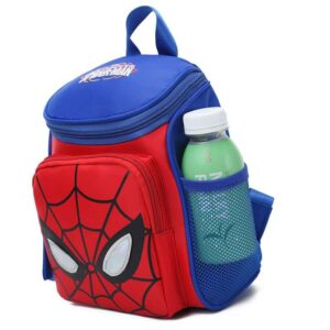 Spider-Man Bottle Bag
